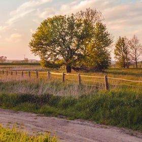 Rural-1