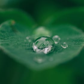 Sustainability-1