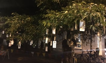 Wishing Tree