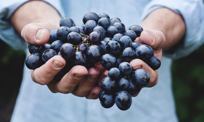 holding grapes