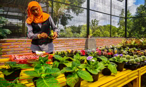 local garden