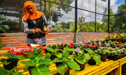 local garden