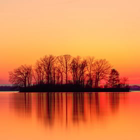 nature-1