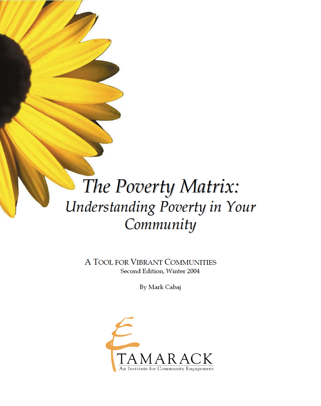 Poverty Matrix