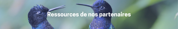 Ressources-de-nos-partenaires-2023