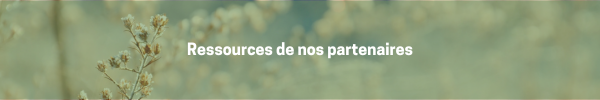 Ressources-de-nos-partenaires-fall