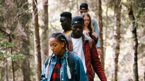 A group of people hike in a forest