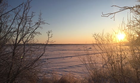 Snow landscape