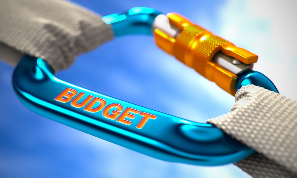 Strong Connection between Blue Carabiner and Two White Ropes Symbolizing the Budget. Selective Focus..jpeg