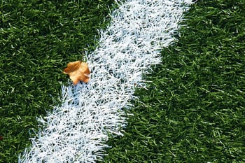 Turf Edited for Homepage.jpg