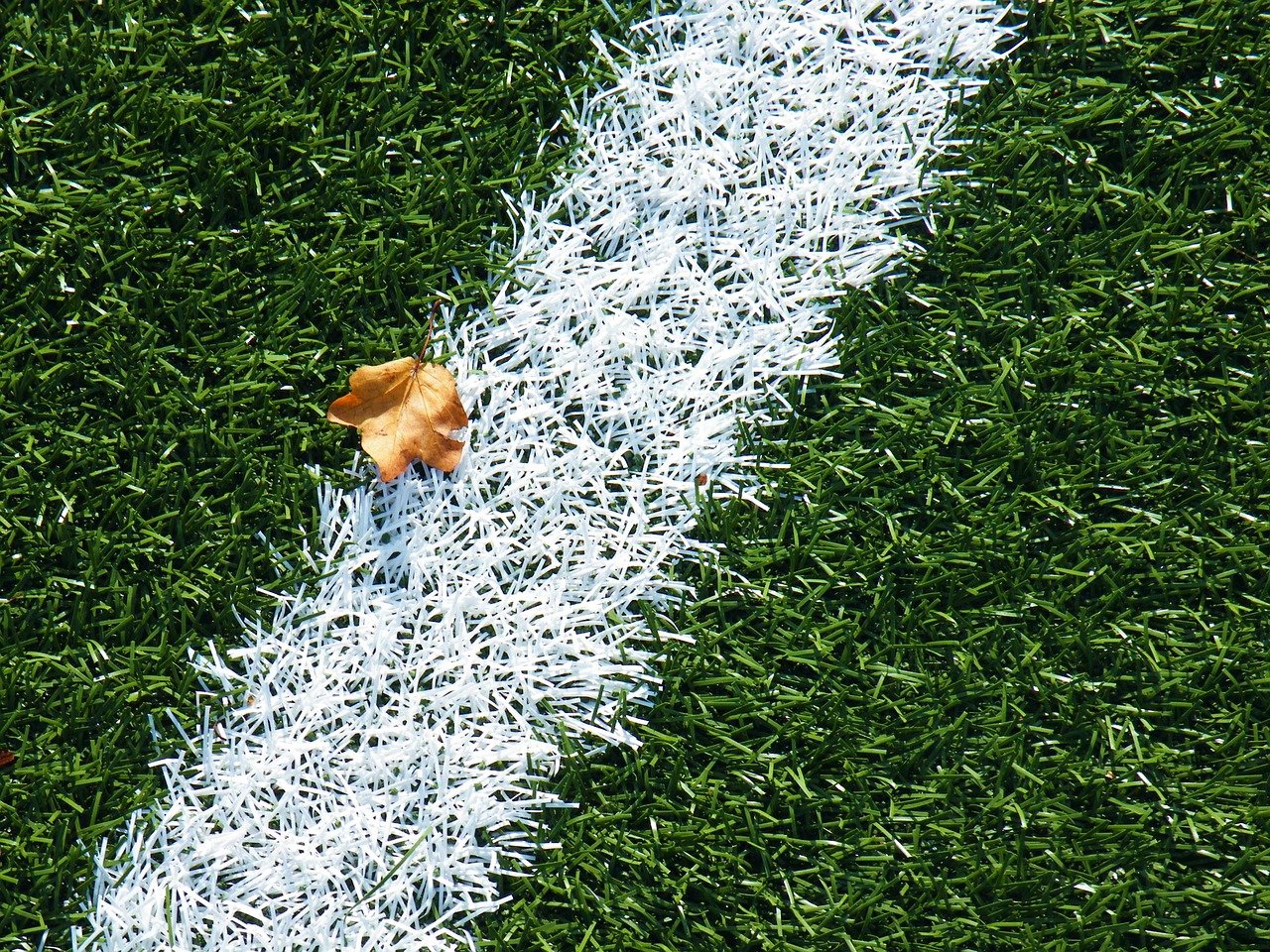 Turf