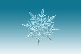 Snowflake.jpg