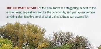 new forest cover quote.jpg