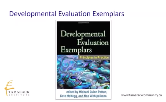 Developmental_Evaluation_Principles_in_Practice.png