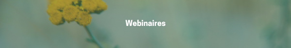 Webinaires-gratuits-fall