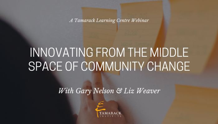 Webinar Innovating from the Middle Space of Community Change
