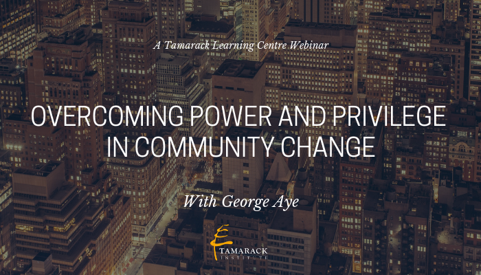 2019 Webinar Overcoming Power and Privilege in Community Change