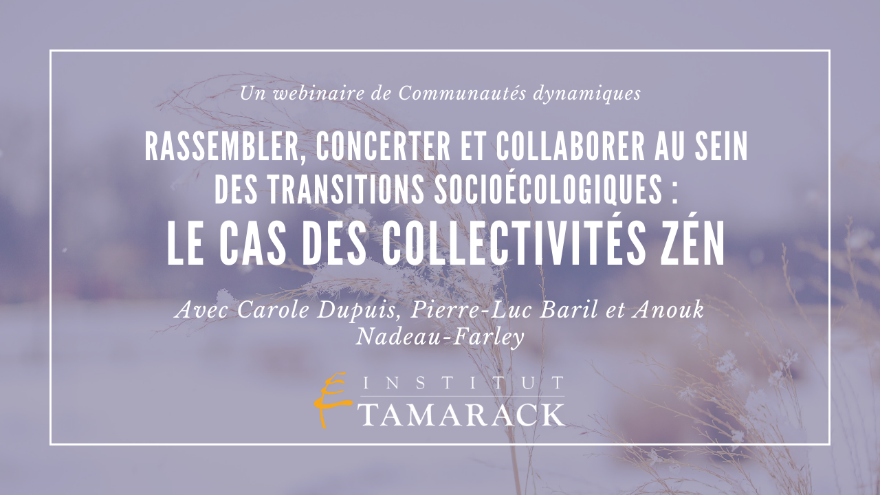 Webinar_Collectivités-ZéN_FR