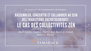 ENREGISTREMENT DE WEBINAIRE | Rassembler, concerter et collaborer au sein des transitions socioécologiques : Le cas des Collectivités ZéN