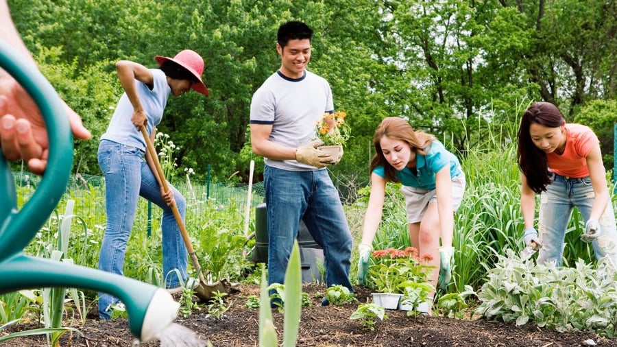 GUIDE | Models of Community Change TO-FOR-WITH-BY
