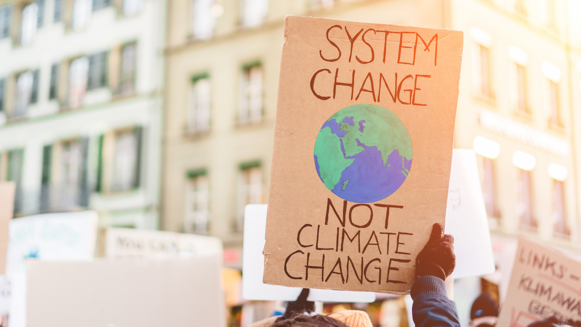 Youth climate grief project - System Change sign