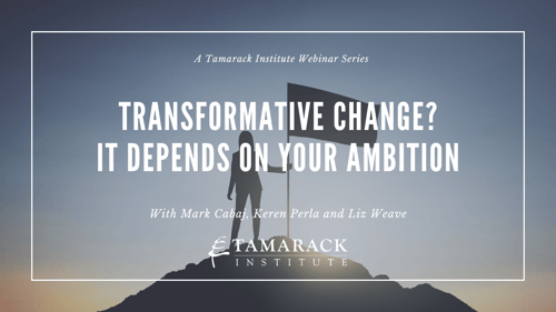 WEBINAR | Transformative Change? It Depends on Your Ambition