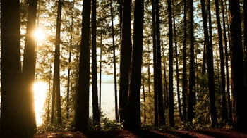 andrew-gazula-Sproat-Lake-Alberni-Clayoquot