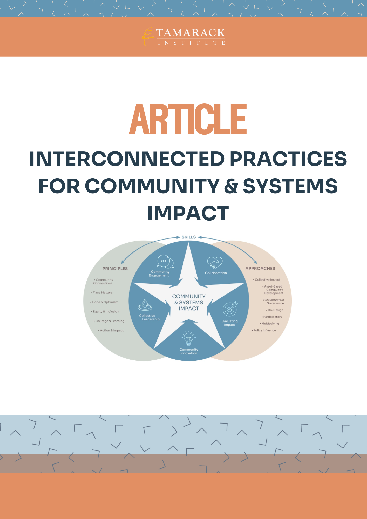 ARTICLE | Interconnected Practices for Community and Systems Impact