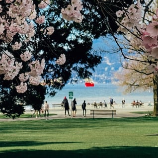 Citizens take the lead in Vancouver's Kitsilano neighbourhood