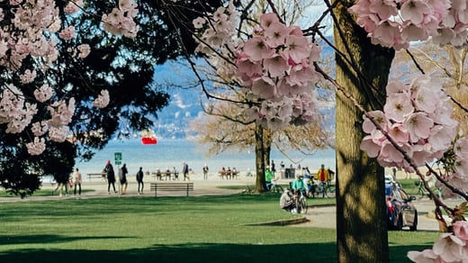 ARTICLE | Citizens take the lead in Vancouver’s Kitsilano neighbourhood