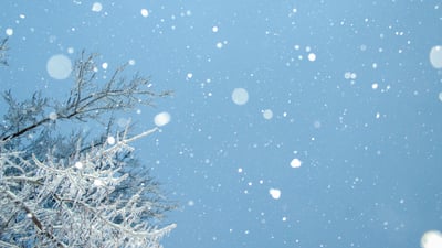 chandler-cruttenden-snowy-sky