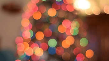 dc end of year blog picture 2