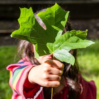 Community Climate Transitions Membership Package