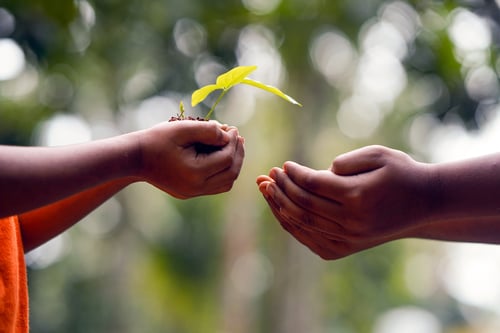 Article |&nbsp;How Field Catalysts Accelerate Collective Impact