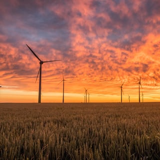 Community Climate Transitions Awarded New Definity Insurance Foundation Grant