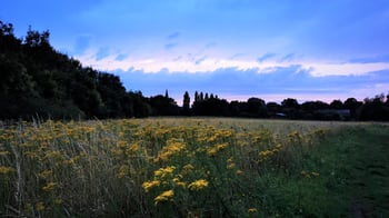 may-johnson-manitoba-maureen-widescreen