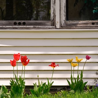 Bright Spot: Yes! In My Backyard campaign rises up against NIMBYism