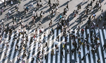 people walking on the street crosswalk