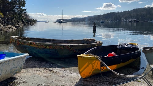 Reflections from the 2022 Cohort: The Salt Spring Island Climate Transitions Cohort Group