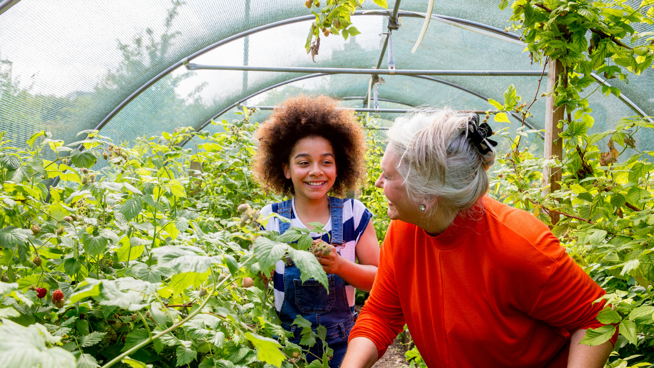 Nineteen Trailblazing Communities Using Collective Impact to Advance an Equitable Climate Transition