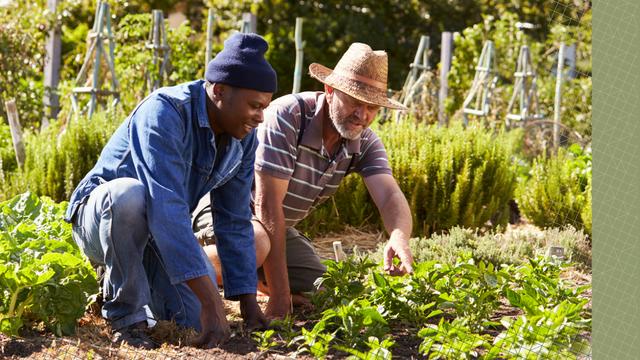 Tamarack welcomes 23 communities to the Community Climate Transitions Network