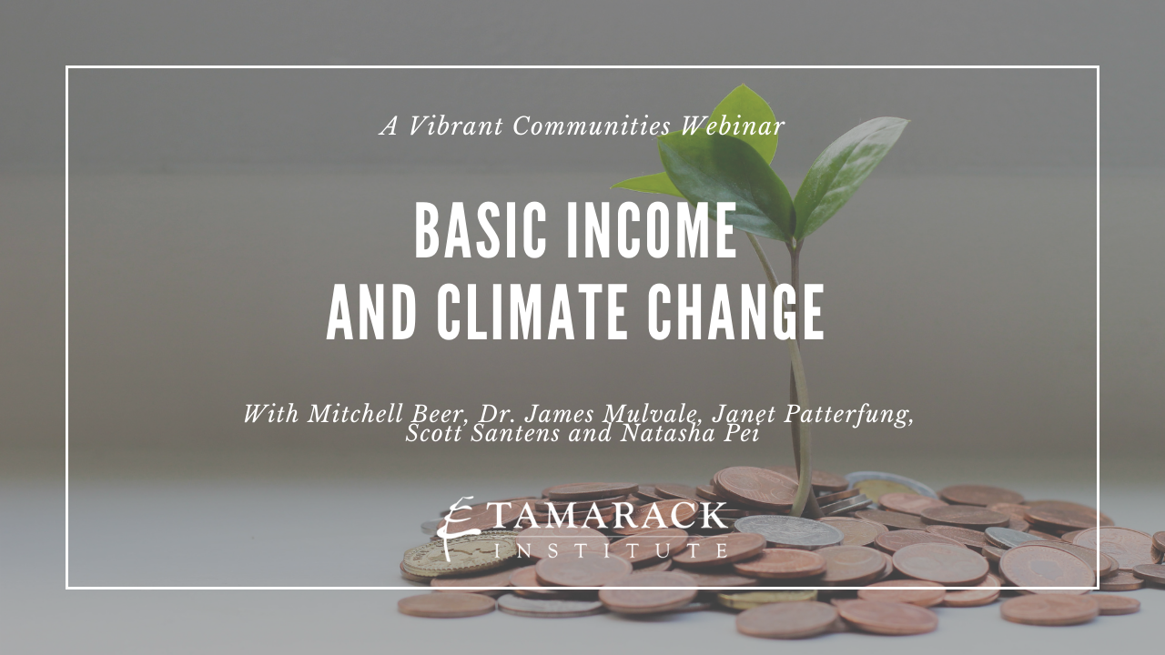 Basic-income-and-climate-change-webinar-image-1
