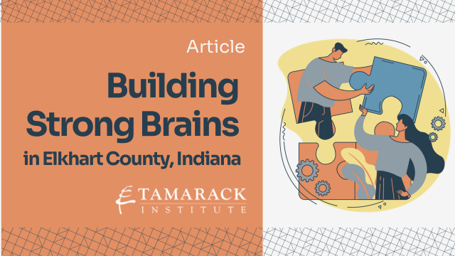 ARTICLE | Building Strong Brains in Elkhart County, Indiana