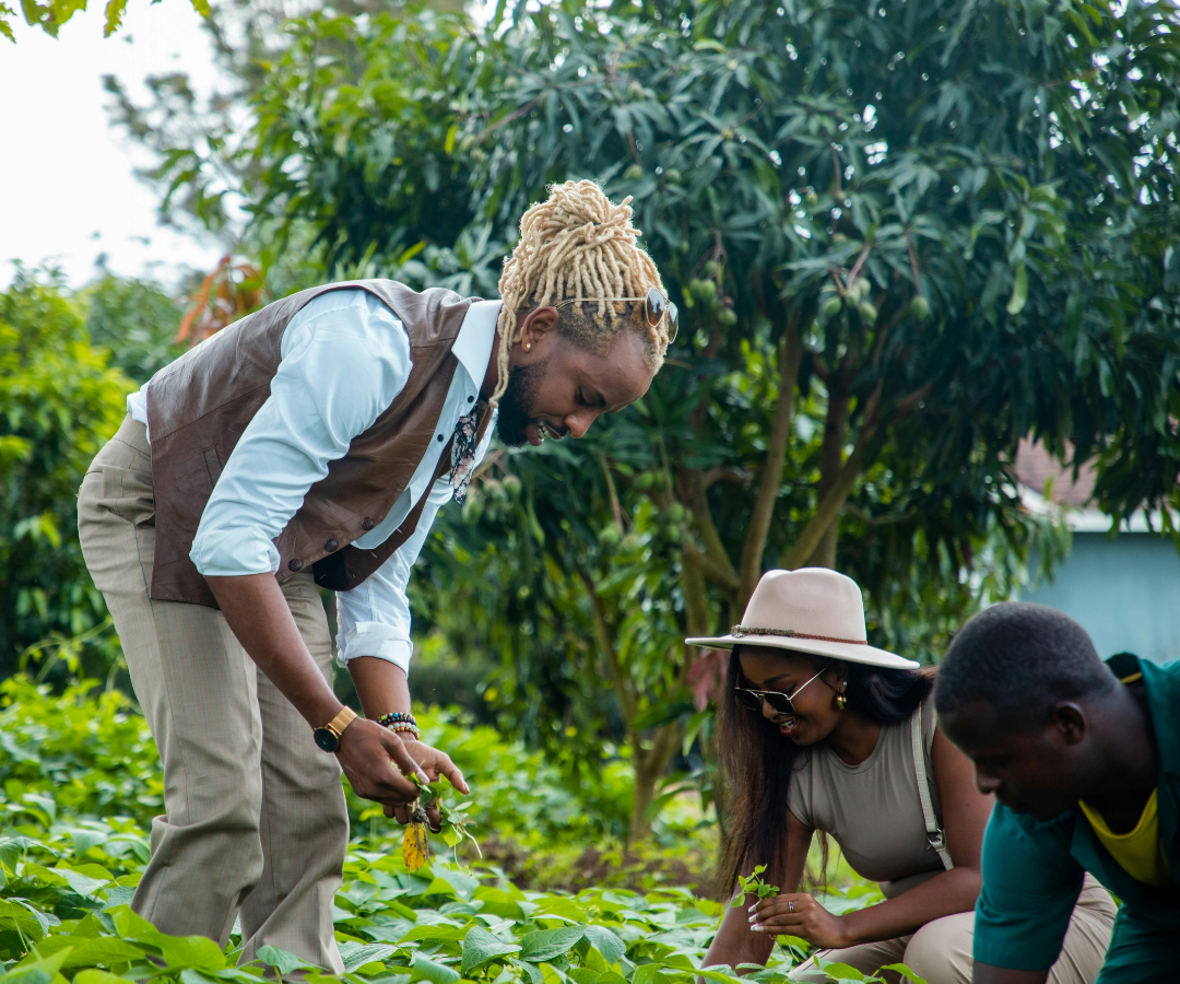 Three people gardening