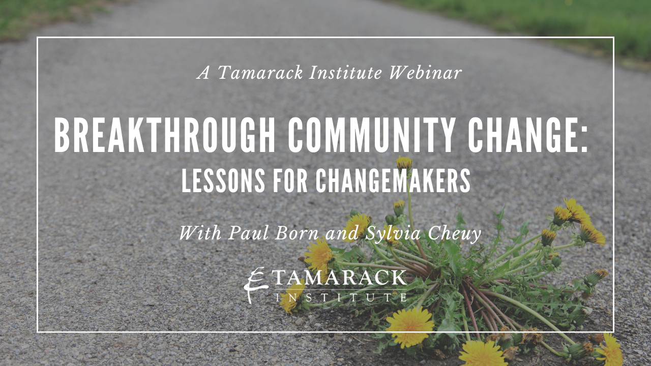 WEBINAR | Breakthrough Community Change: Lessons for Changemakers