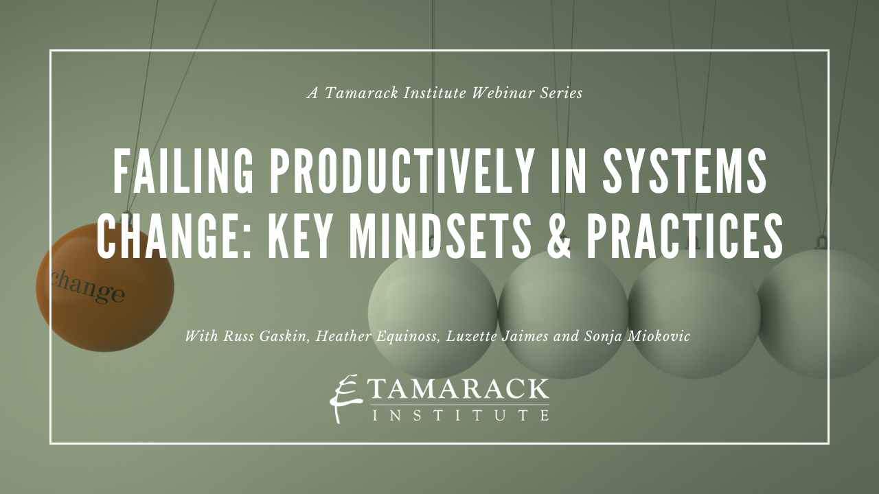 Failing Productively in Systems Change Key Mindsets & Practices