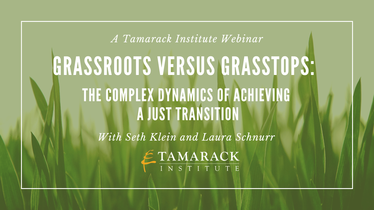 WEBINAR | Grassroots Versus Grasstops: The Complex Dynamics of Achieving a Just Transition