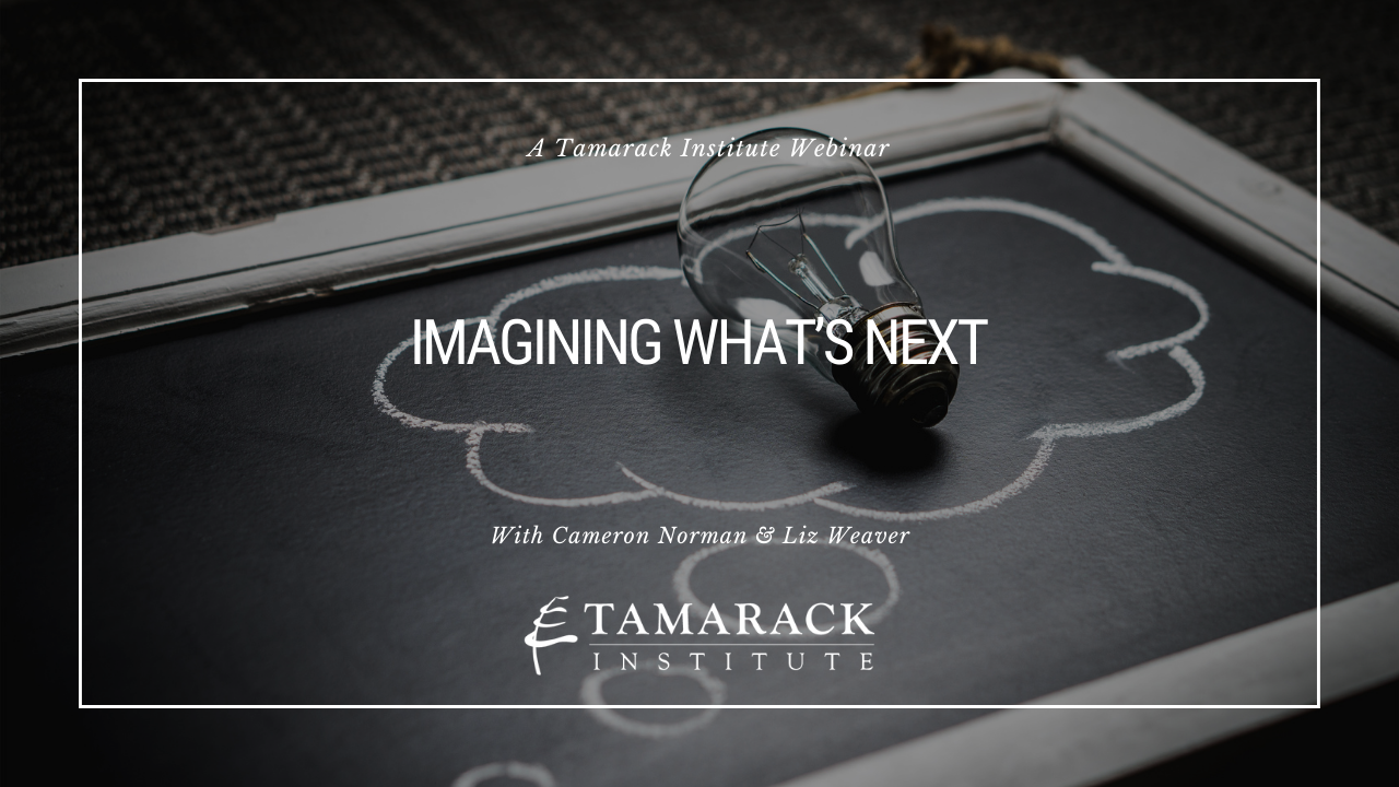 Imaging Whats Next webinar Feature text.-1