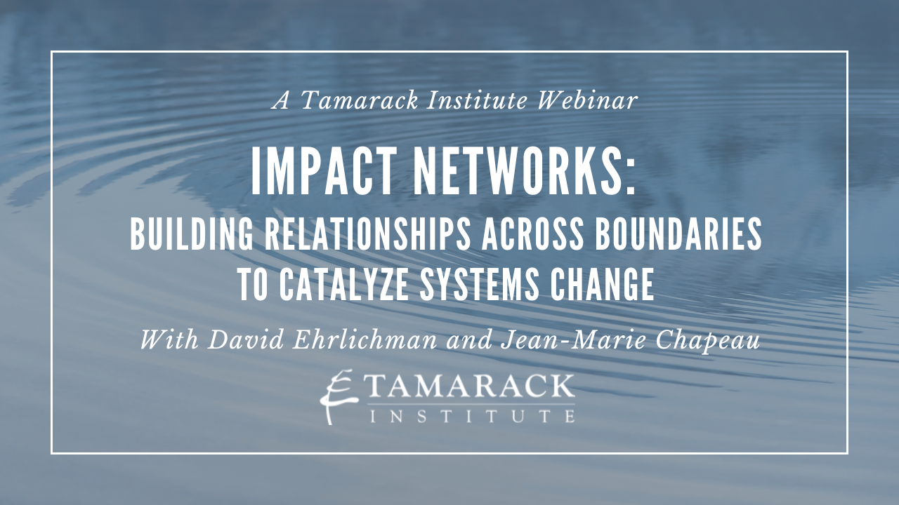 Impact Networks: Building Relationships Across Boundaries to Catalyze Systems Change