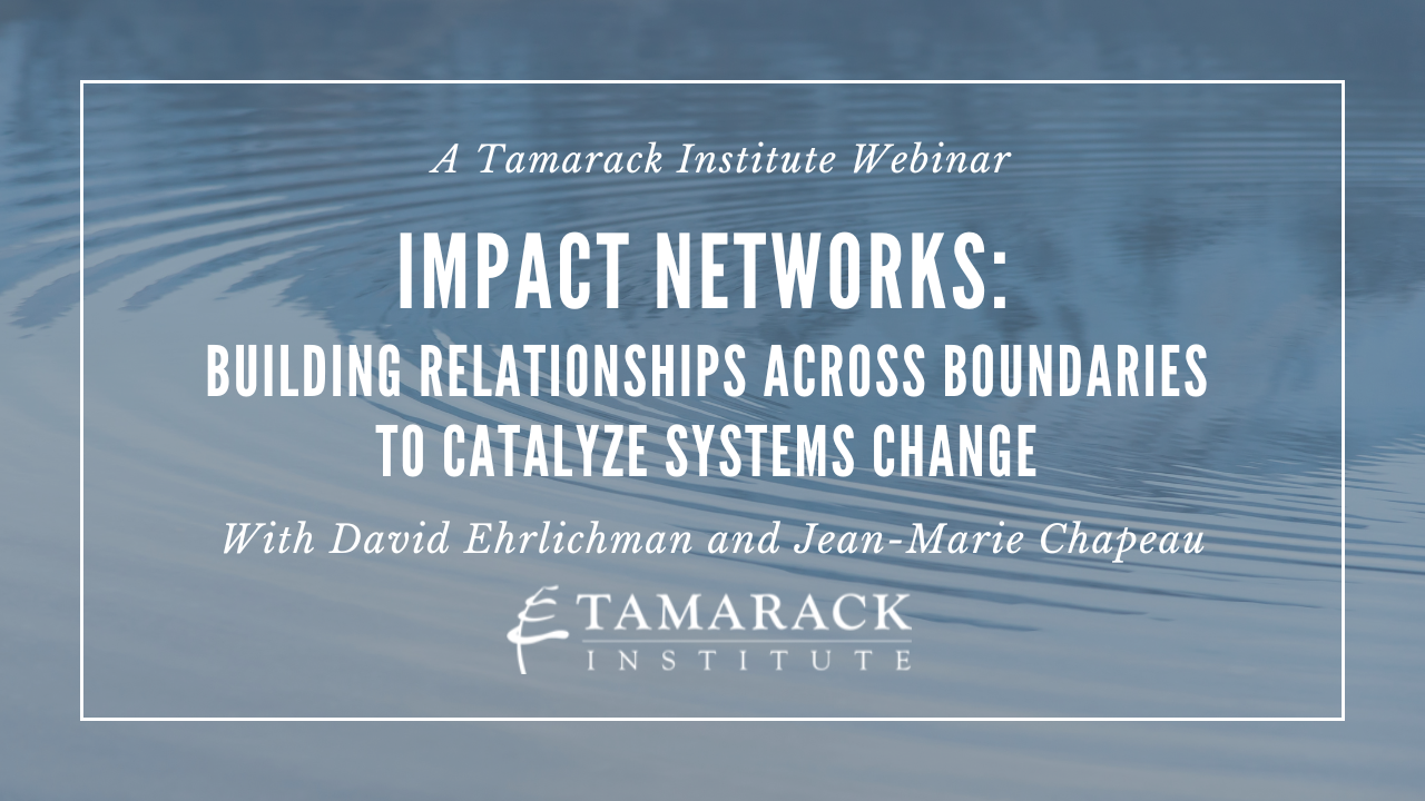 WEBINAR | Impact Networks: Building Relationships Across Boundaries to Catalyze Systems Change